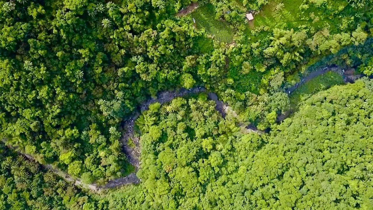 Grand T2 Au Calme En Pleine Nature Вьё-Абитан Апартаменты