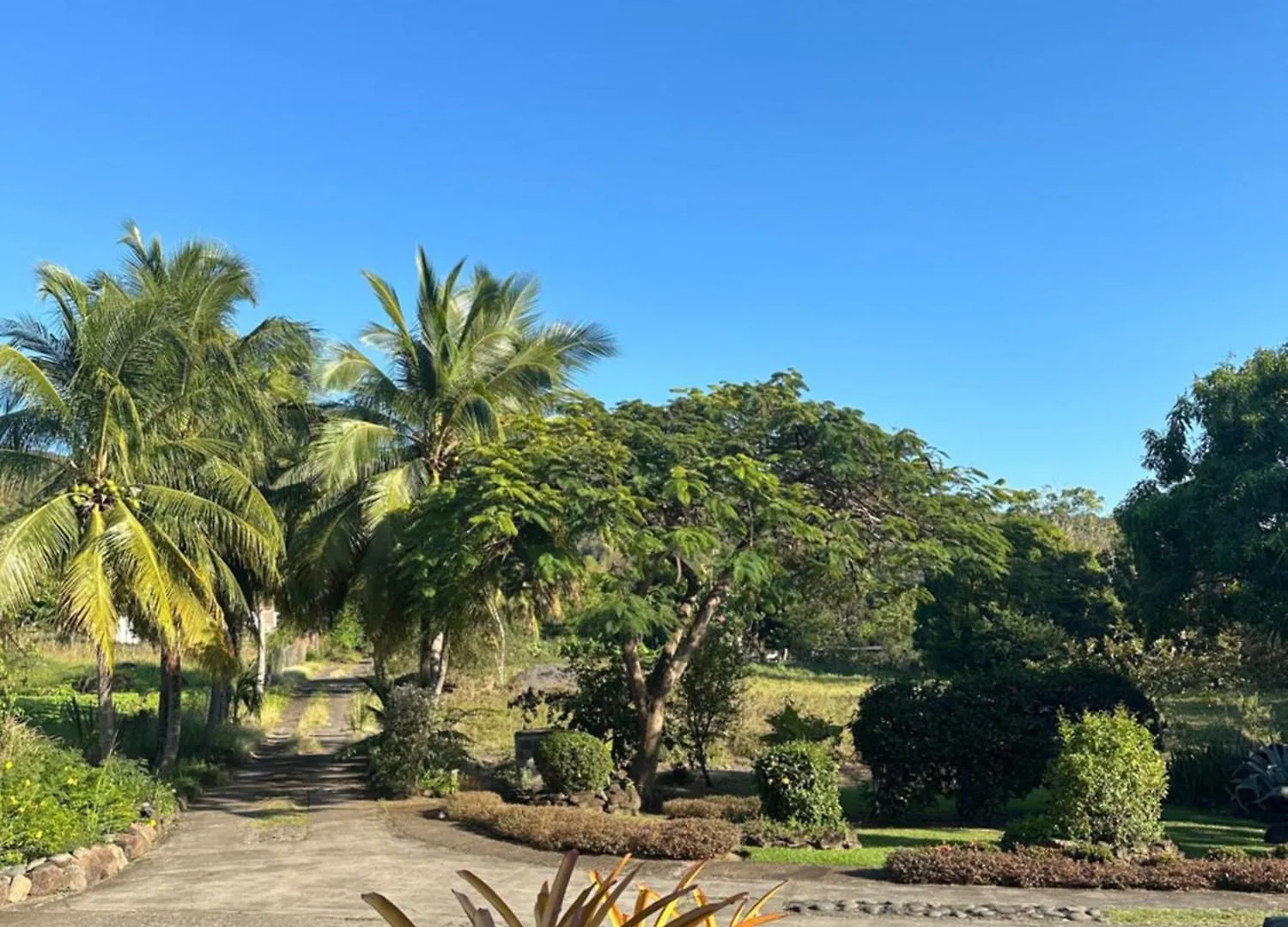 Grand T2 Au Calme En Pleine Nature Vieux-Habitants 0*,  Guadeloupe
